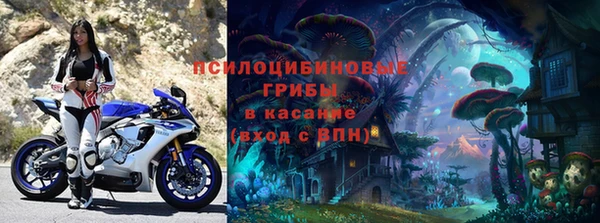 амф Инсар