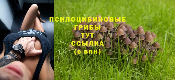 соль курить ск Иннополис