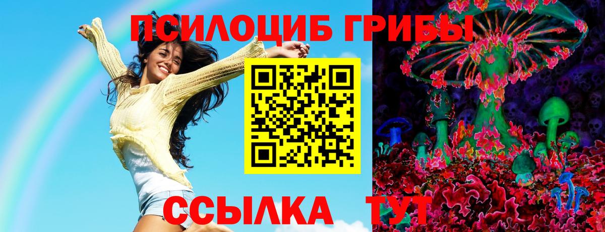 Находка  Псилоцибиновые грибы MAGIC MUSHROOMS  Вход с VPN 