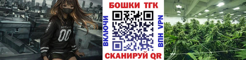 купить наркотики сайты  Находка  Конопля планчик 